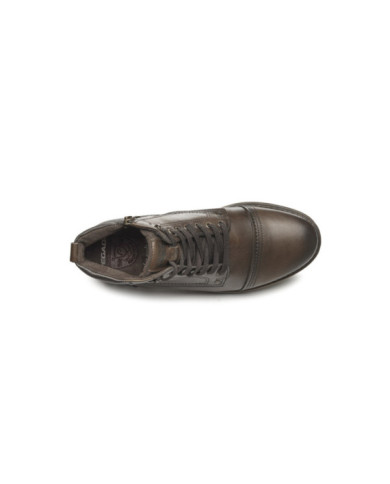 Calzado PEGADA CHELSEA CASTANHO Hombre, Botas-Botines hombre