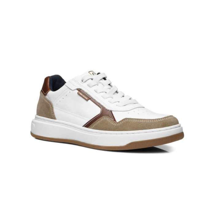 Zapatos marca Pegada Casual hombre